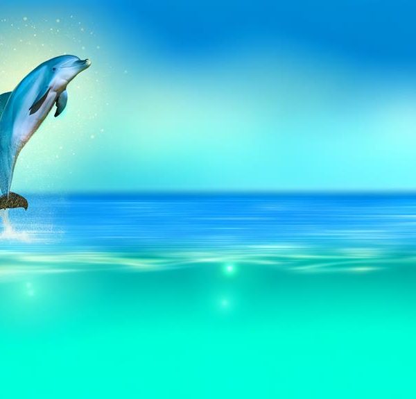 dolphin symbolism in bible