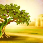 fig trees in christianity