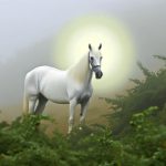 white horses biblical symbolism
